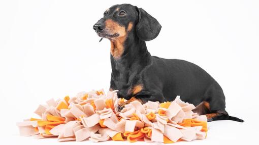 What are the benefits of snuffle mats for dogs?
